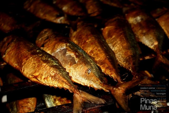 Tinapa product of Calbayog Samar